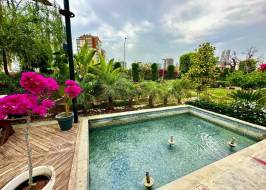 msg735521735-177994_original