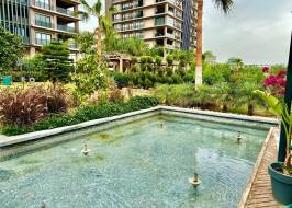 msg735521735-177995_original