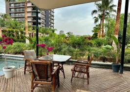 msg735521735-177996_original