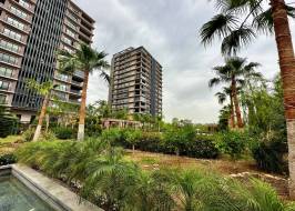 msg735521735-177999_original