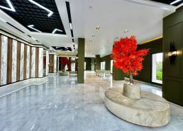 msg735521735-178001_original