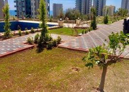 MSG735521735-178143_Riginal