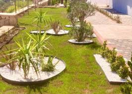 MSG735521735-178145_Riginal