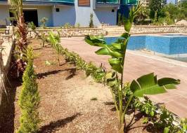 MSG735521735-178147_Riginal