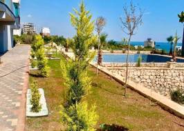 msg735521735-178136_original