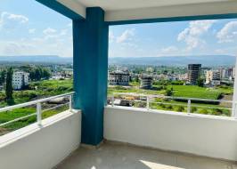 MSG735521735-137692_Riginal