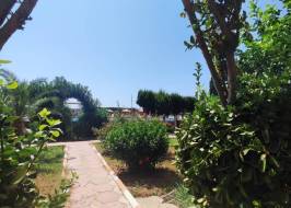 WhatsApp_Image_2024-06-08_at_13.30.42_original