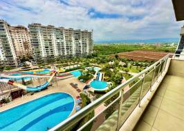 IMG_3101_original_copy_1