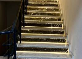 2456d7bd-1c17-4a8c-a854-cc1066c2d1b3_original