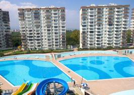 liparis-7-2_original