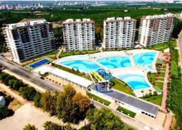 liparis-7-svezh_original