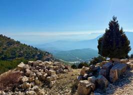 IMG_0465_original_original