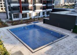 2025_01_28_08_58_IMG_2239_original