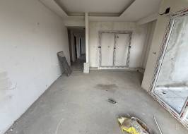 2025_02_12_11_37_IMG_2781_original