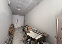 2025_02_03_03_30_38_IMG_2556_ORIGINAL