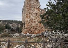 IMG_6716_original