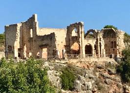 IMG_8993_original