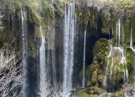 IMG_0650_original