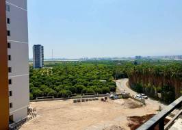 Photo_2025-07-24_22-49-36_original