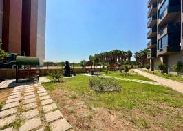 Photo_2025-07-24_22-50-13_original