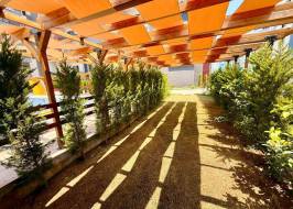 Photo_2025-07-30_14-33-12_original