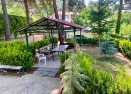 photo_2025-09-26_21-22-11_original