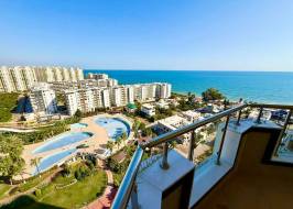 AS311516v25_original