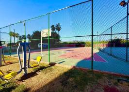 AS311516v36_original