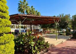 AS311516v41_original