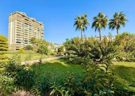 AS311516v43_original