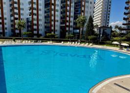 SD31215v35_түпнұсқа