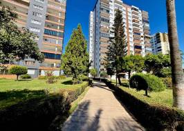SD31215v40_түпнұсқа