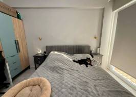 As111011v10_original