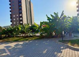 As111011v19_original