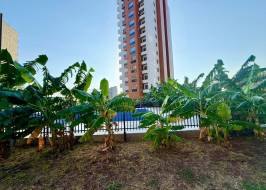 As111011v23_original