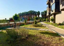 As111011v24_original