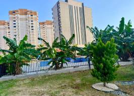 As111011v25_original