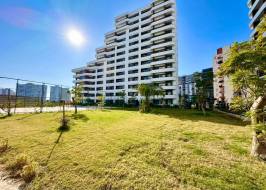 Na41105v33_түпнұсқа