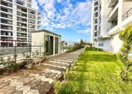 Am777821w24_original