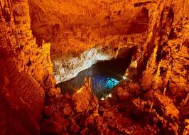 WhatsApp_Image_2026-01-23_at_09.31.13_1_original