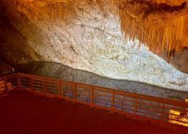 WhatsApp_Image_2026-01-23_at_09.31.13_2_original