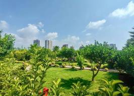 Aa76031vw25_original