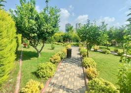 Aa76031vw26_original