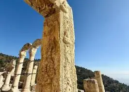 IMG_0452_original_original