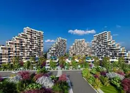 finall_11_-_Photo_original