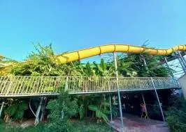 d60c3a0d-d80f-4cdf-abf6-7f5c2fccc433_original