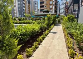 IMG_5606_original_copy_1