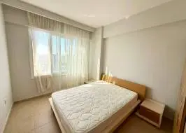 AS311516v13_original