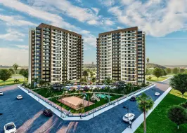 1_1_original_original