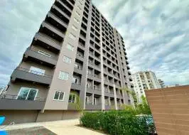 photo_2025-10-09_11-37-43_original